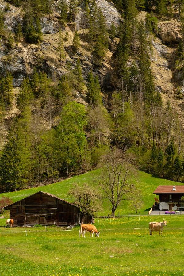 Hafod A Hendre Apartment Lauterbrunnen Bagian luar foto